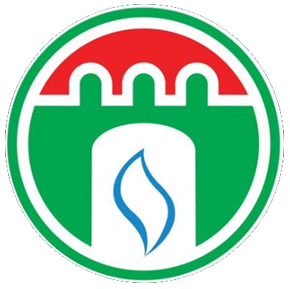 TechCorp Cloud Logo